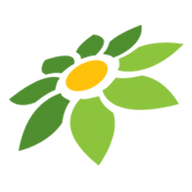 LINK IDE99